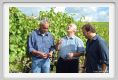 tenuta_di_arceno1206