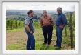 tenuta_di_arceno1255