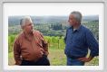 tenuta_di_arceno1256