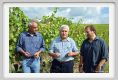 tenuta_di_arceno1207