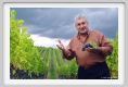 tenuta_di_arceno1267