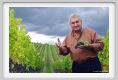 tenuta_di_arceno1268