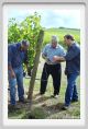 tenuta_di_arceno1208