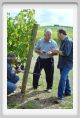 tenuta_di_arceno1209