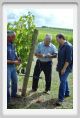 tenuta_di_arceno1210