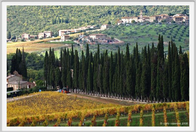 tenuta_di_arceno1543