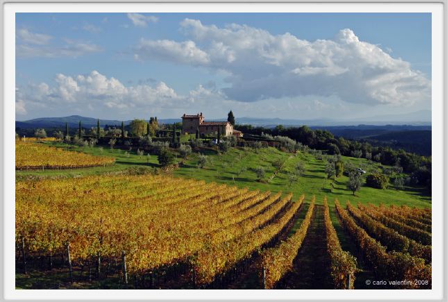 tenuta_di_arceno1559