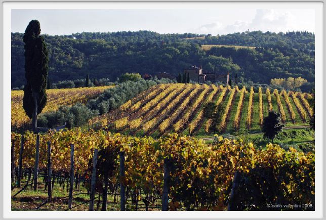 tenuta_di_arceno1575