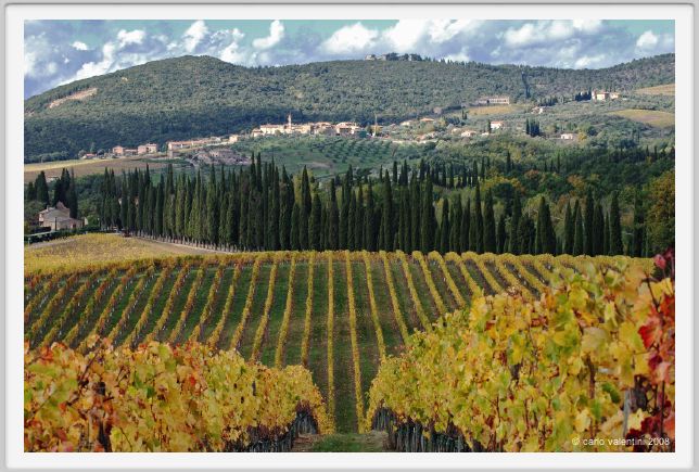 tenuta_di_arceno1493