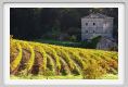 tenuta_di_arceno1335