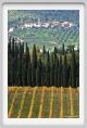 tenuta_di_arceno1539