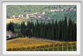 tenuta_di_arceno1543