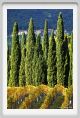 tenuta_di_arceno1550