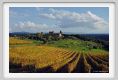 tenuta_di_arceno1559
