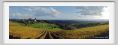 tenuta_di_arceno1560