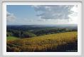tenuta_di_arceno1561