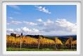 tenuta_di_arceno1567