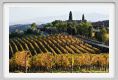 tenuta_di_arceno1586