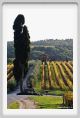 tenuta_di_arceno1588