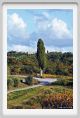 tenuta_di_arceno1591