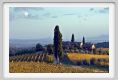 tenuta_di_arceno1594
