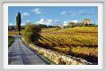 tenuta_di_arceno1600