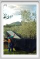 tenuta_di_arceno1613