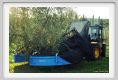 tenuta_di_arceno1618