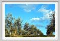 tenuta_di_arceno1622