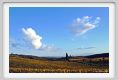 tenuta_di_arceno1627