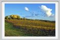 tenuta_di_arceno1629