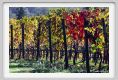 tenuta_di_arceno1338