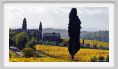 tenuta_di_arceno1340