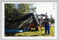 tenuta_di_arceno1384