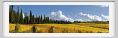 tenuta_di_arceno1413