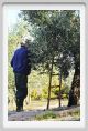 tenuta_di_arceno1425