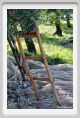 tenuta_di_arceno1432