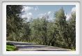 tenuta_di_arceno1440