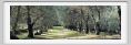 tenuta_di_arceno1444