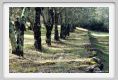 tenuta_di_arceno1445