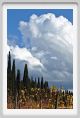 tenuta_di_arceno1509