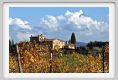 tenuta_di_arceno1515
