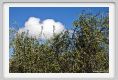 tenuta_di_arceno1522