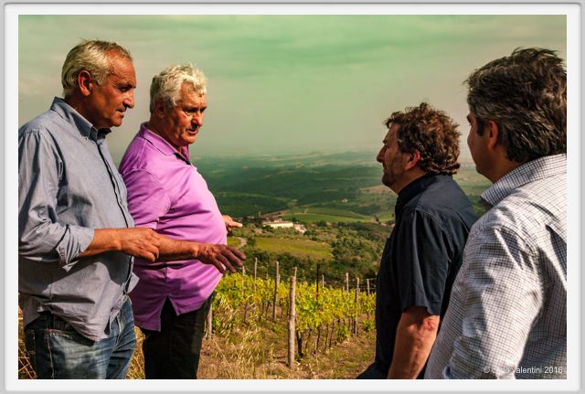 tenuta_di_arceno1353