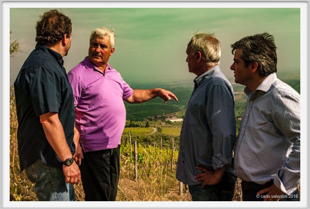 tenuta_di_arceno1361