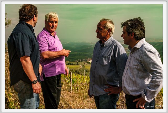 tenuta_di_arceno1366