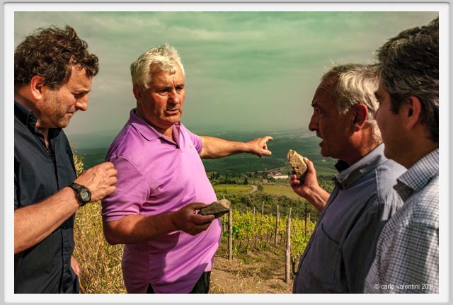 tenuta_di_arceno1377