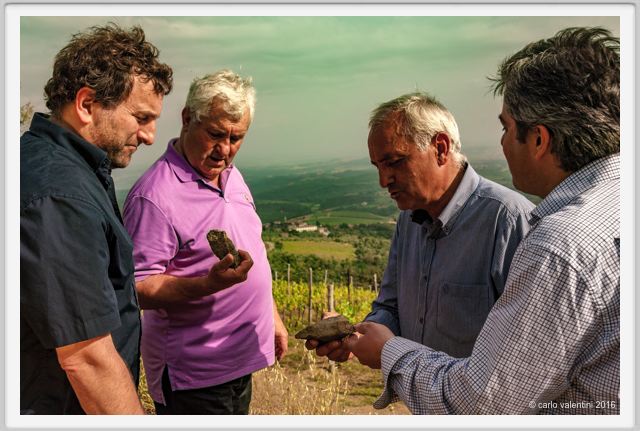 tenuta_di_arceno1385