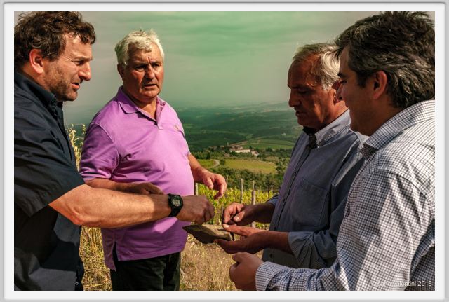 tenuta_di_arceno1390