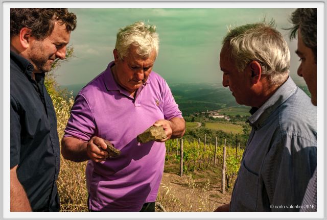 tenuta_di_arceno1406